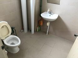 Oxley Bizhub (D14), Factory #458256371